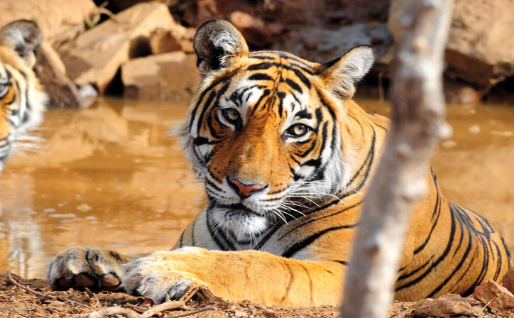 Wonders of Rajasthan